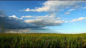 背景草原视频,大自然的绿色画卷